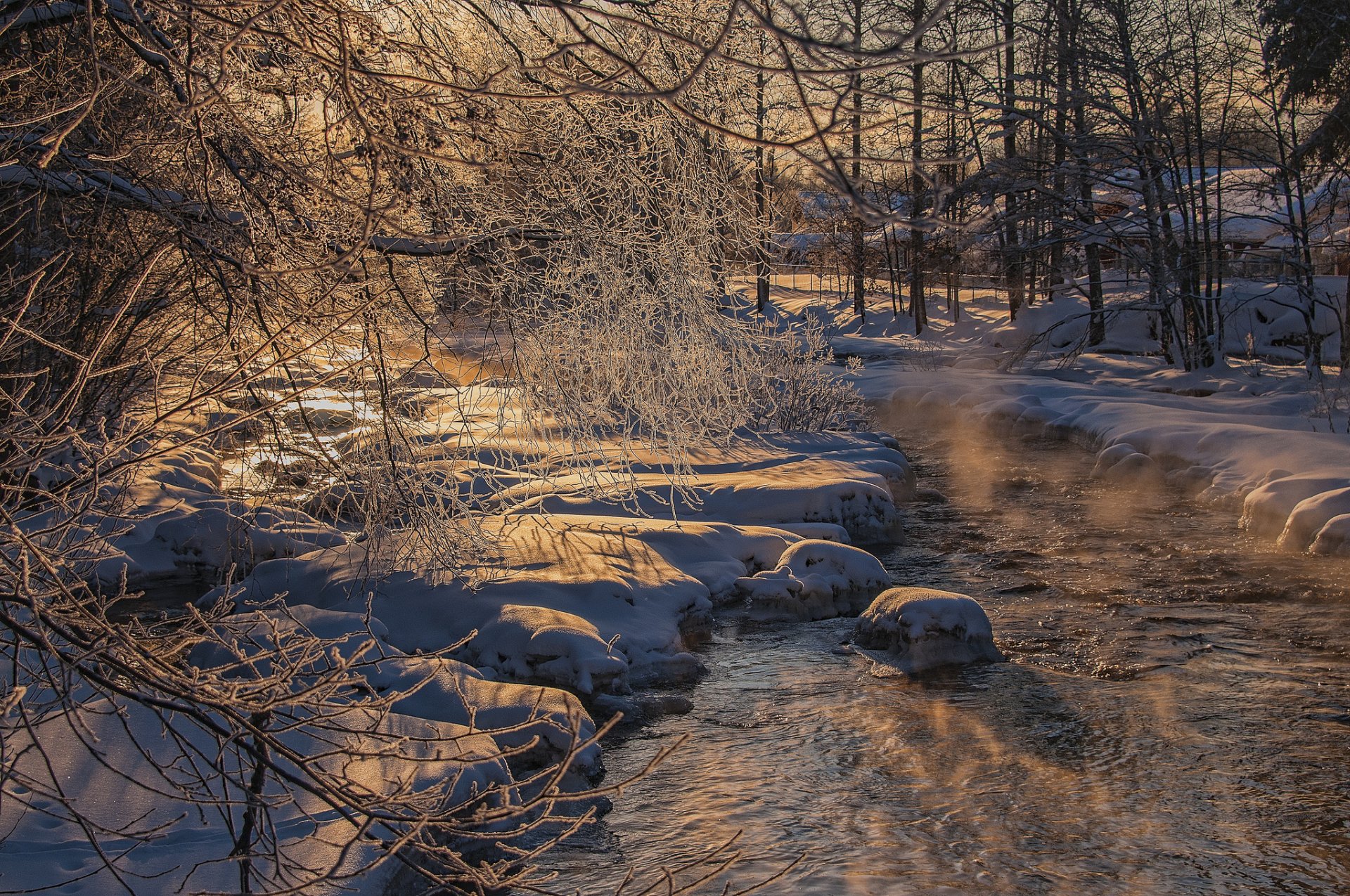 árboles río escarcha nieve invierno