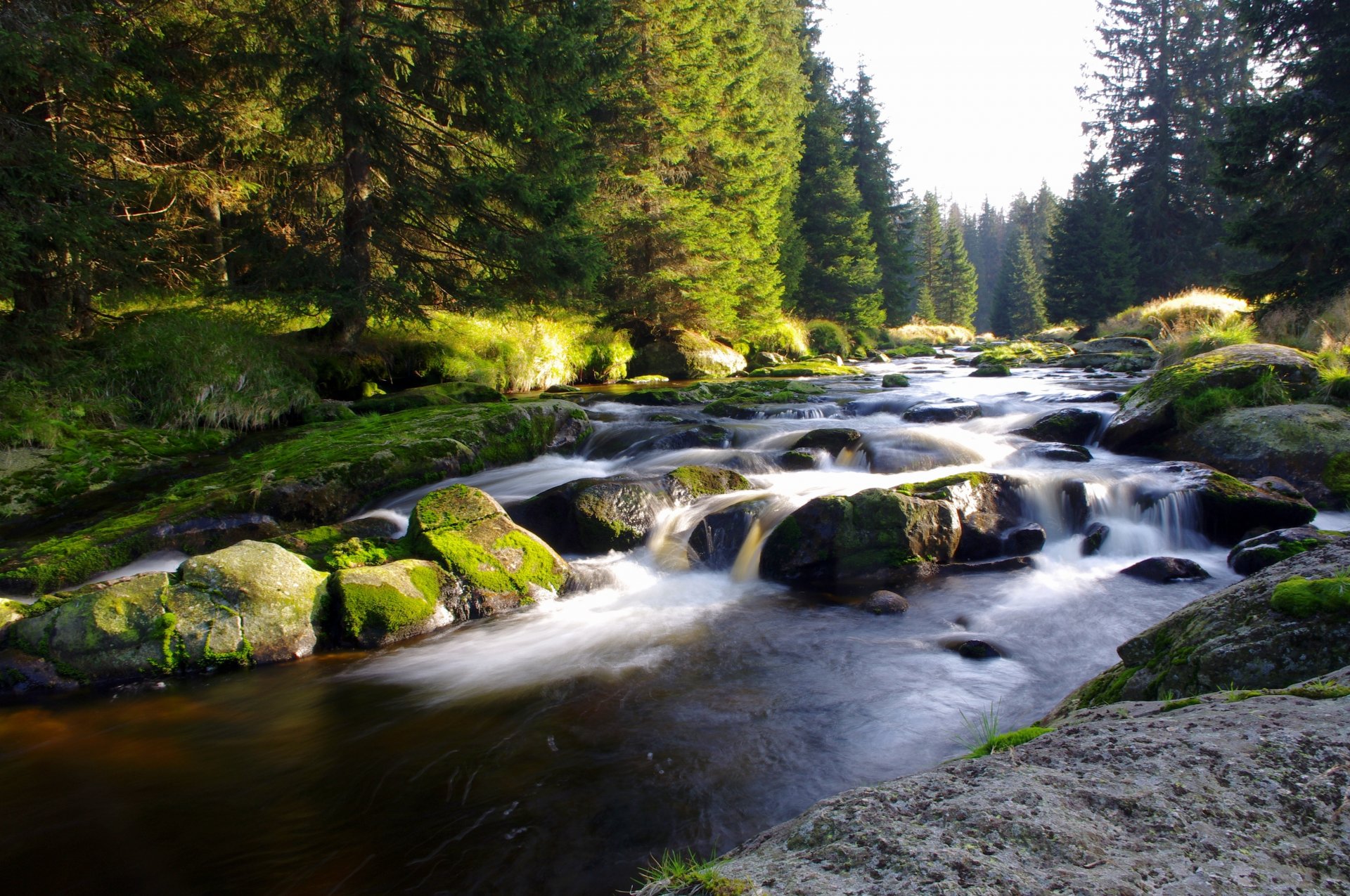 mountain river forest nature czech republic bohemia šumava narodni park šumava