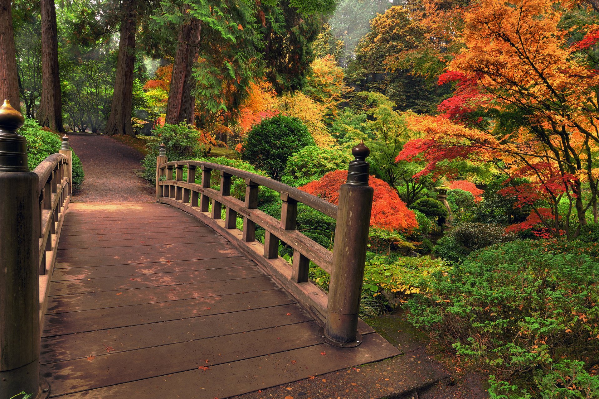 naturaleza parque otoño árboles hojas puente colores colorido flores hermoso