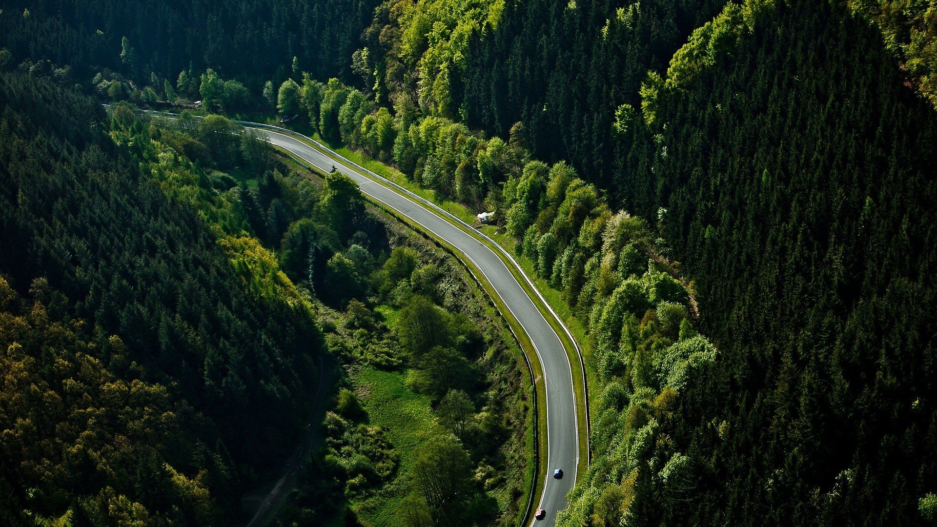 nürburgring pista bosque coches