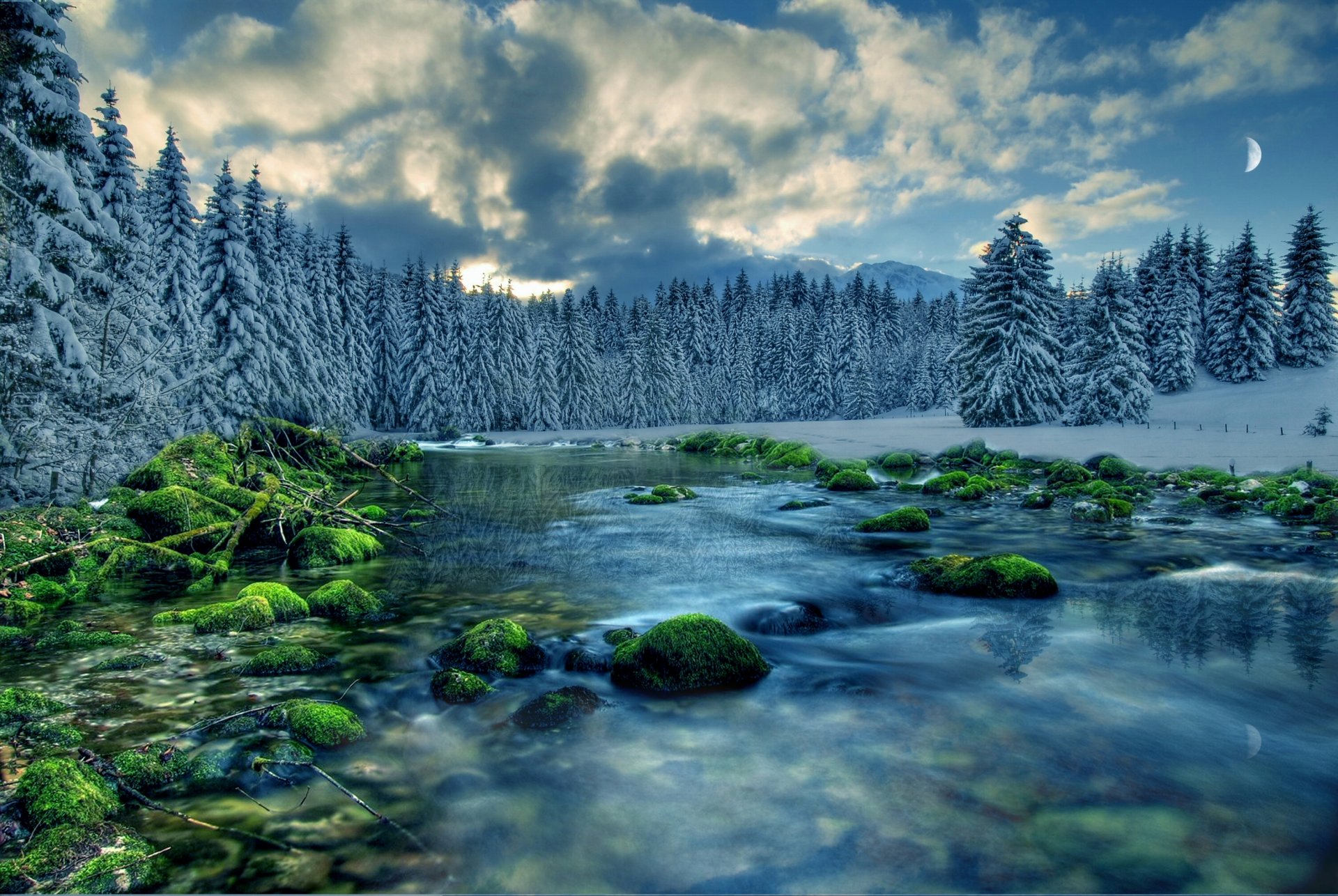 river forest tree sky clouds snow stones moss feed spruce christmas tree moon