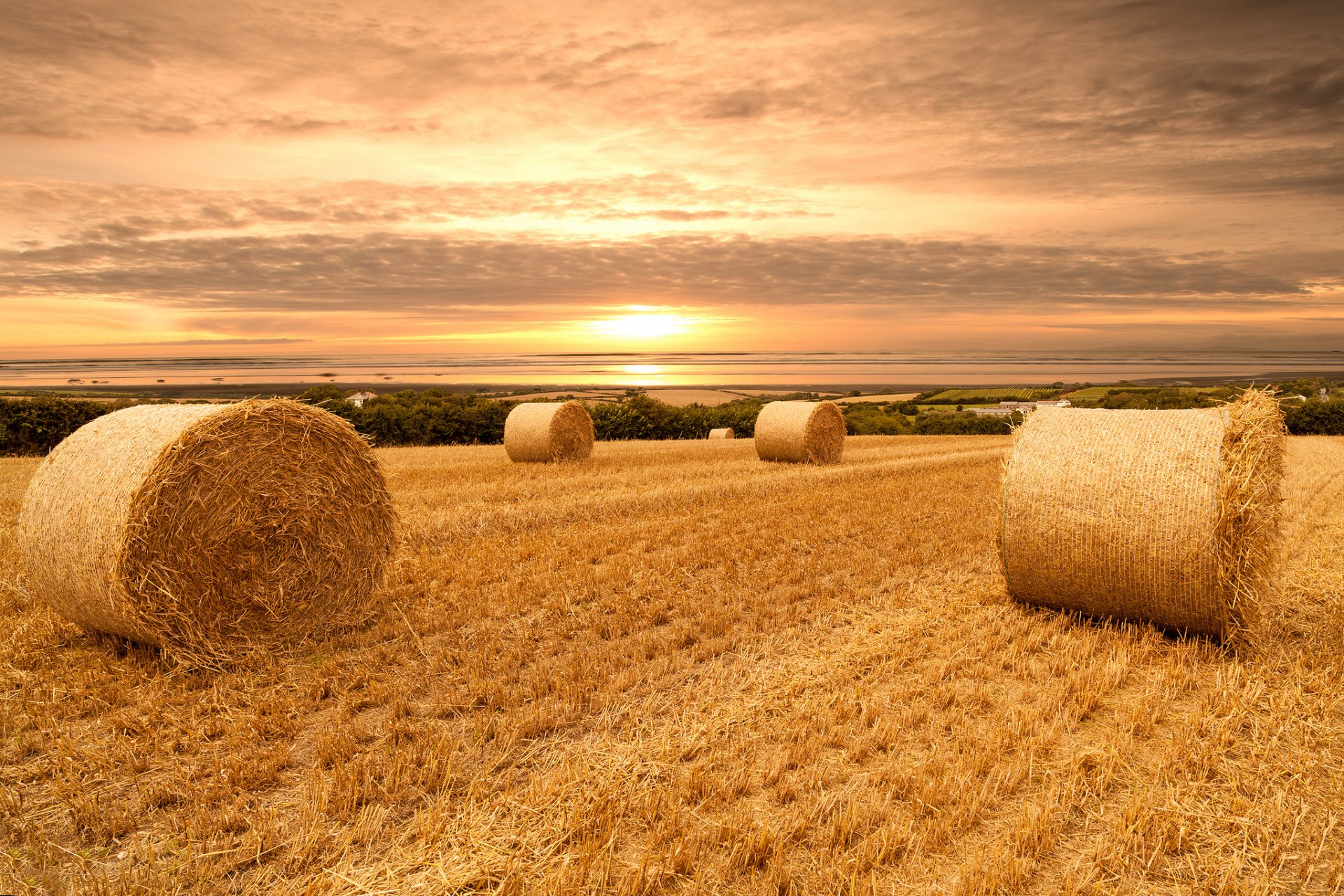 natur landschaft feld himmel wolken sonnenuntergang weizen ansicht ballen