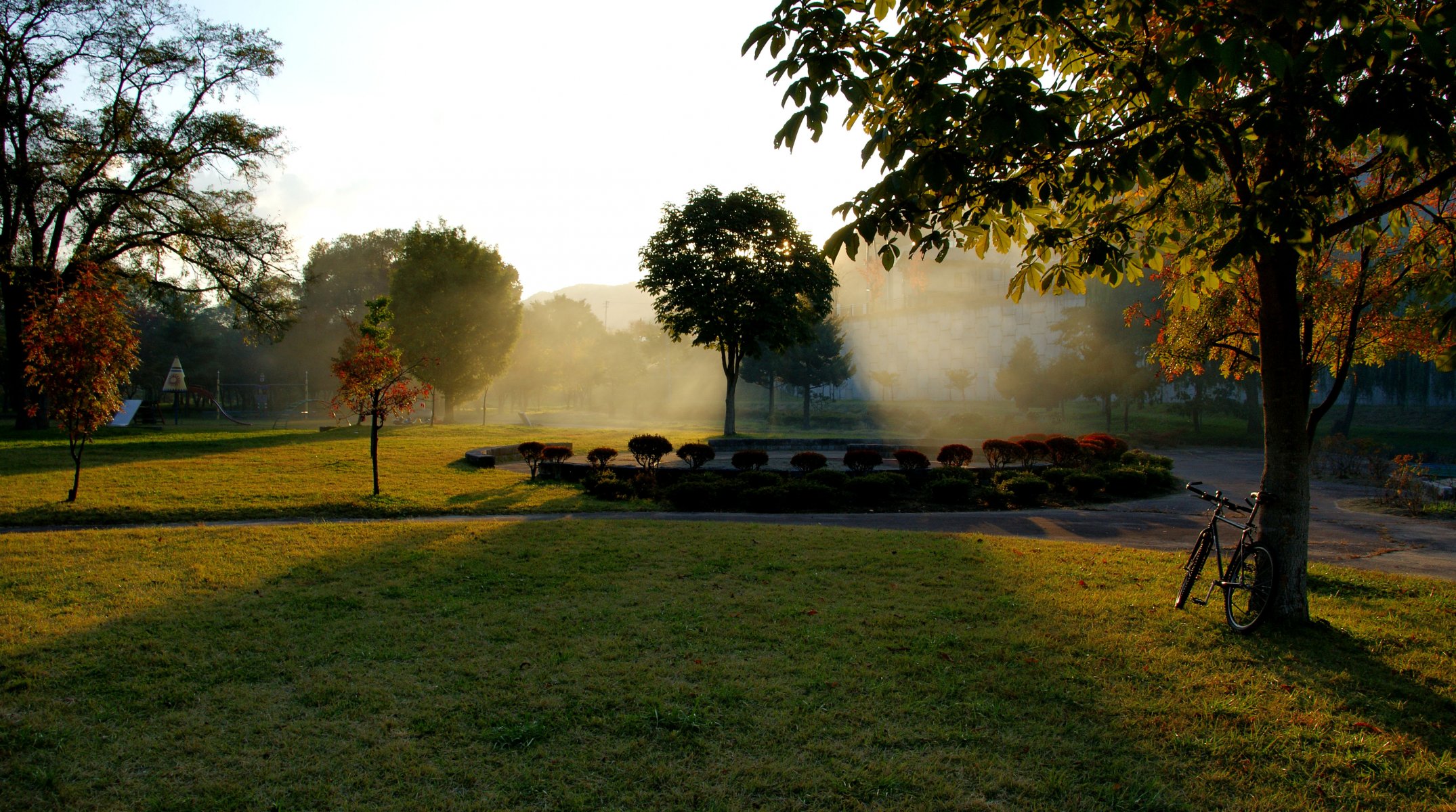 otoño parque hojas cama de flores follaje árboles hierba árbol amanecer sol rayos bicicleta jardín de flores