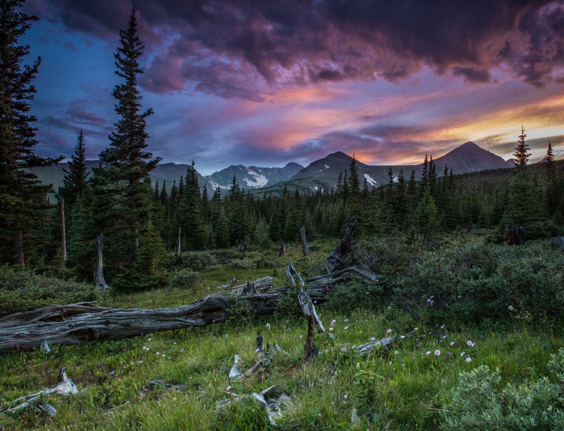 montagnes forêt été coucher de soleil