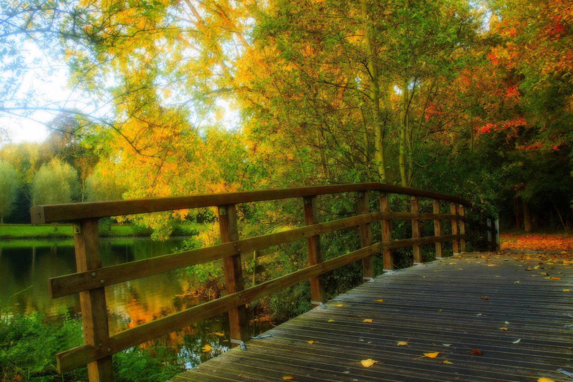 liście park aleja drzewa las jesień spacer hdr natura rzeka woda widok upadek most odbicie widok