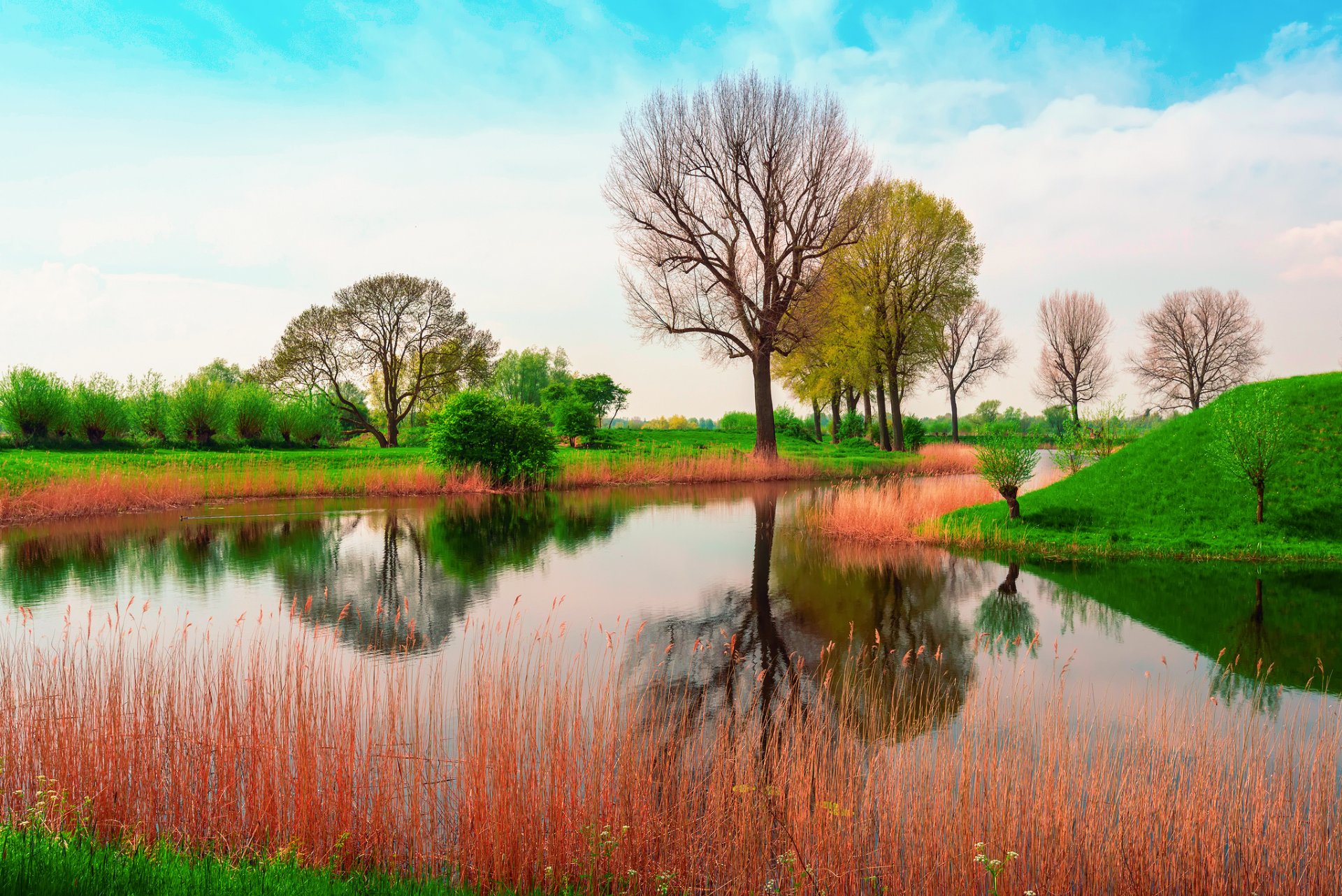 natura inghilterra primavera maggio