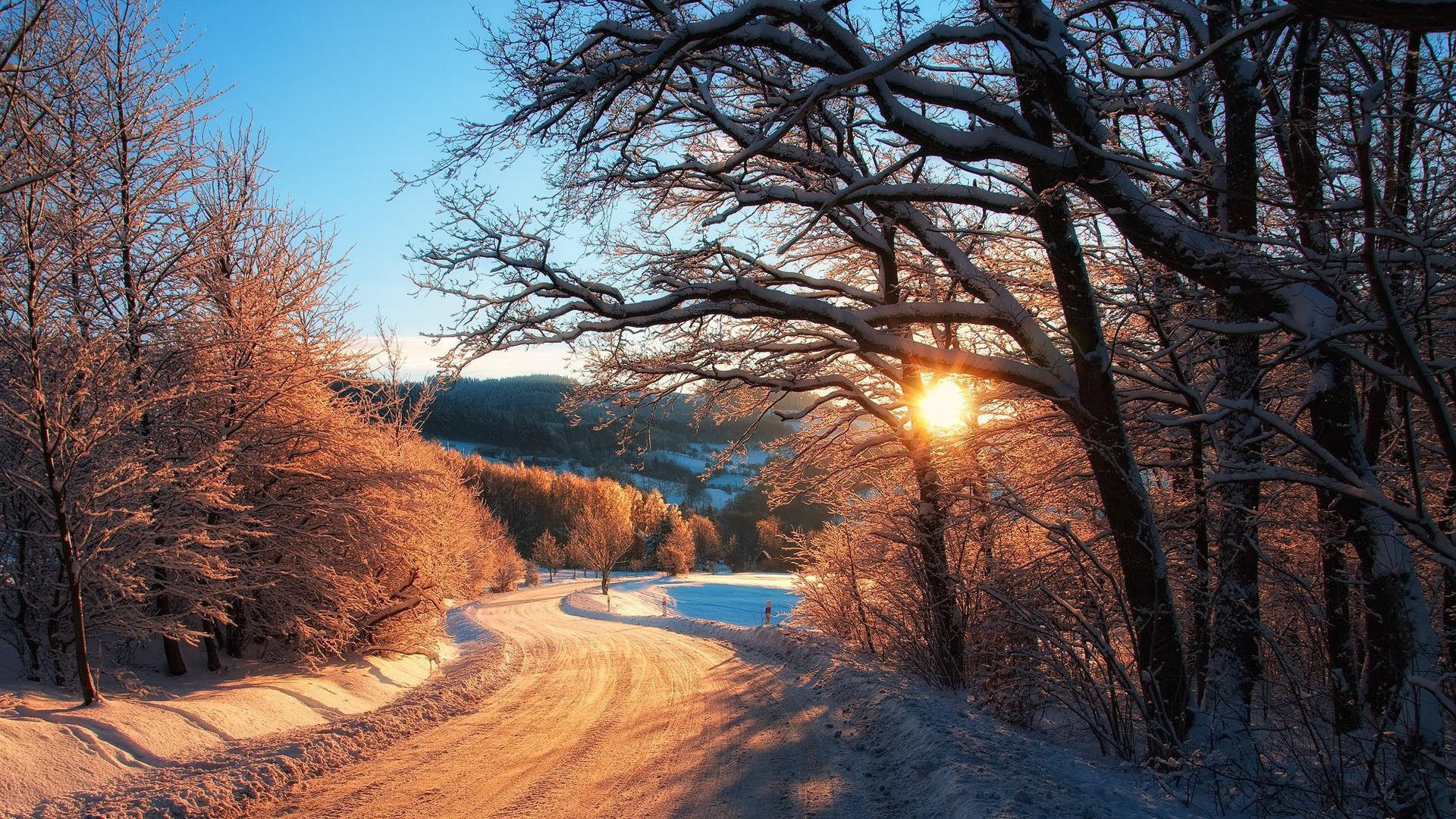 nature hiver neige arbres forêt ciel route soleil