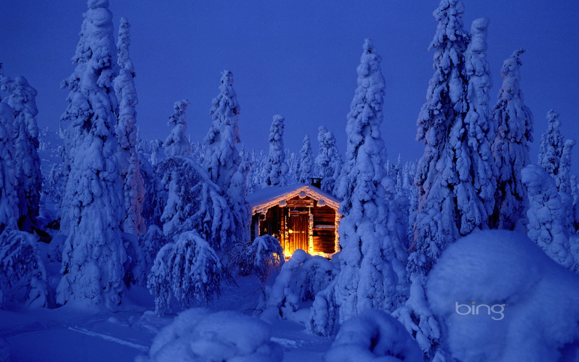 nouvel an noël sapin arbre de noël forêt neige congère maison cabane lumière lumières feu de joie laponie nuit ciel nature