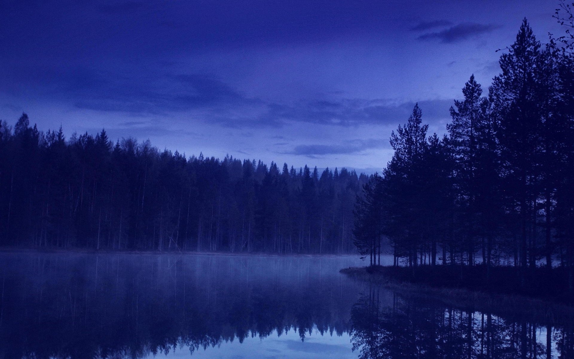 noche bosque río naturaleza