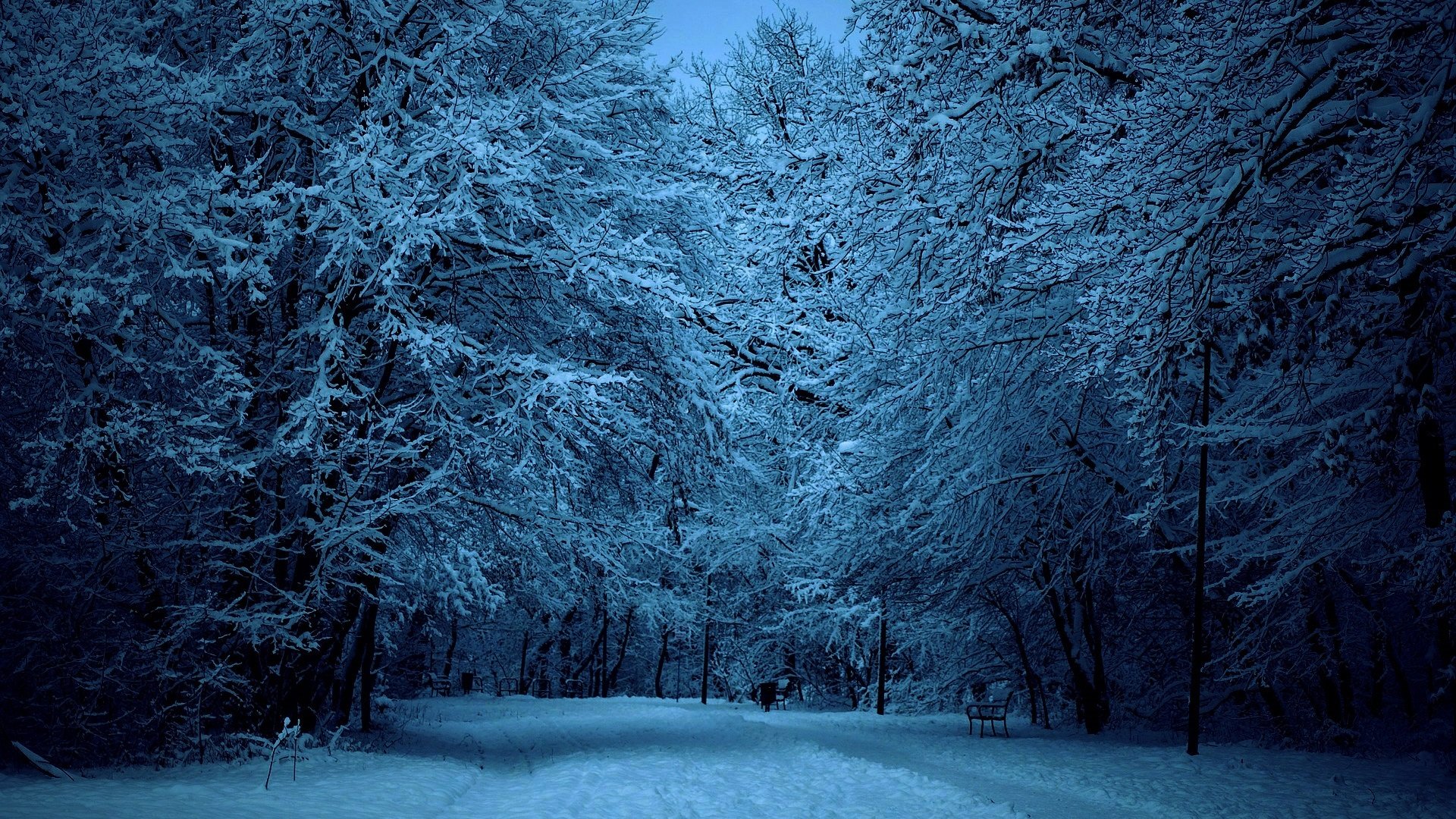 natur schnee park straße zu fuß winter bäume