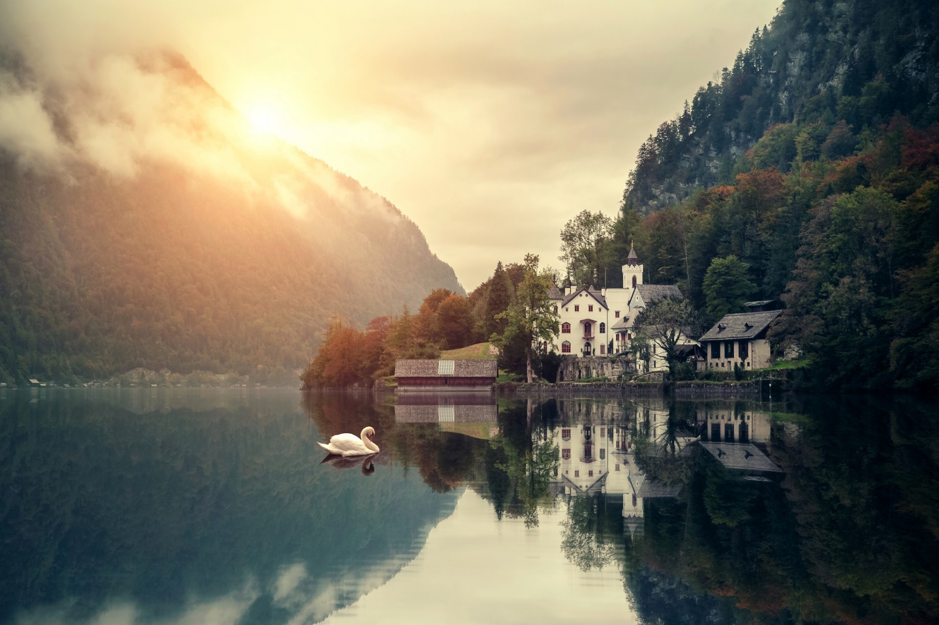 mountain lake house swans forest nature