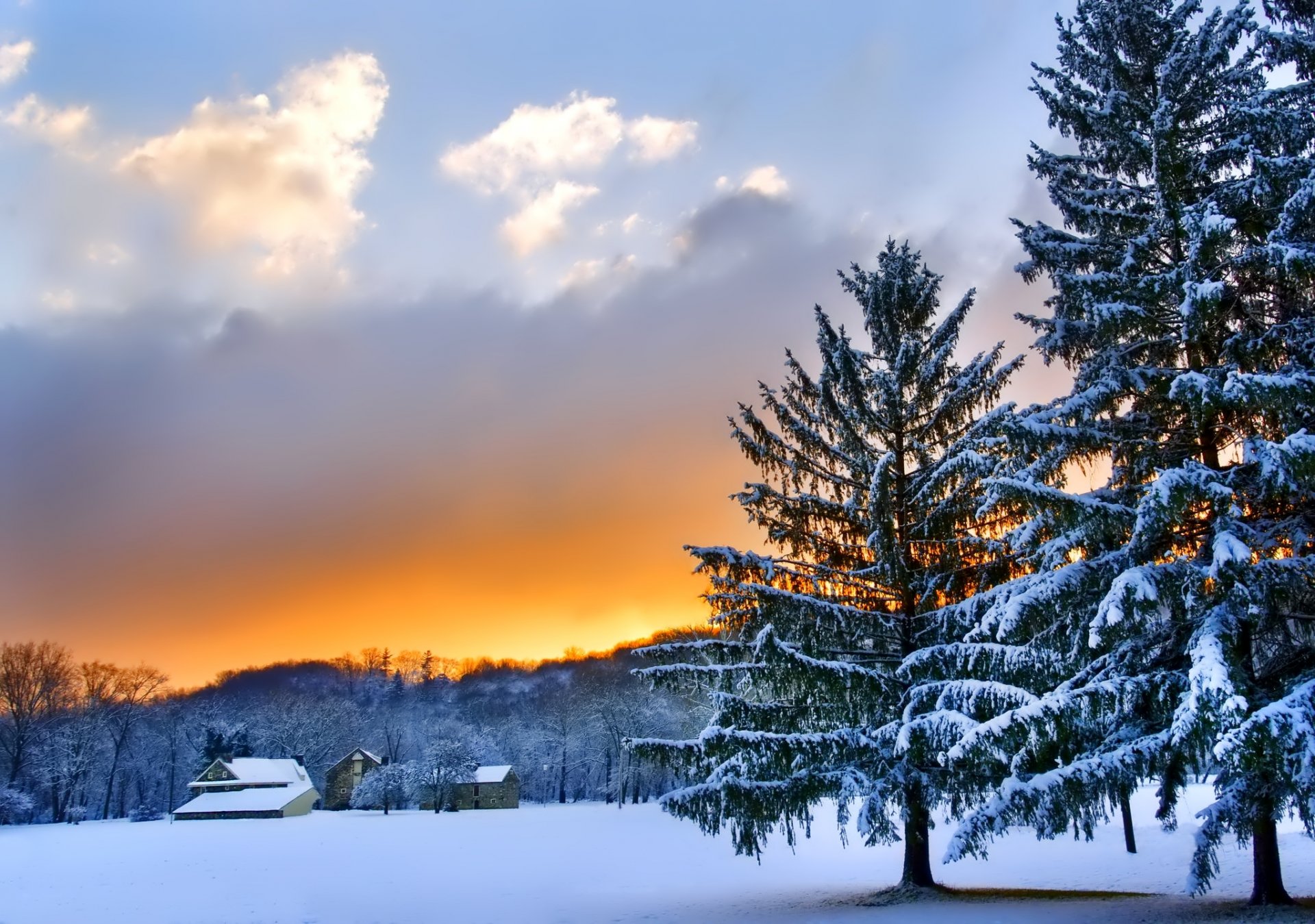 natura paesaggio inverno neve alberi tramonto cielo nuvole