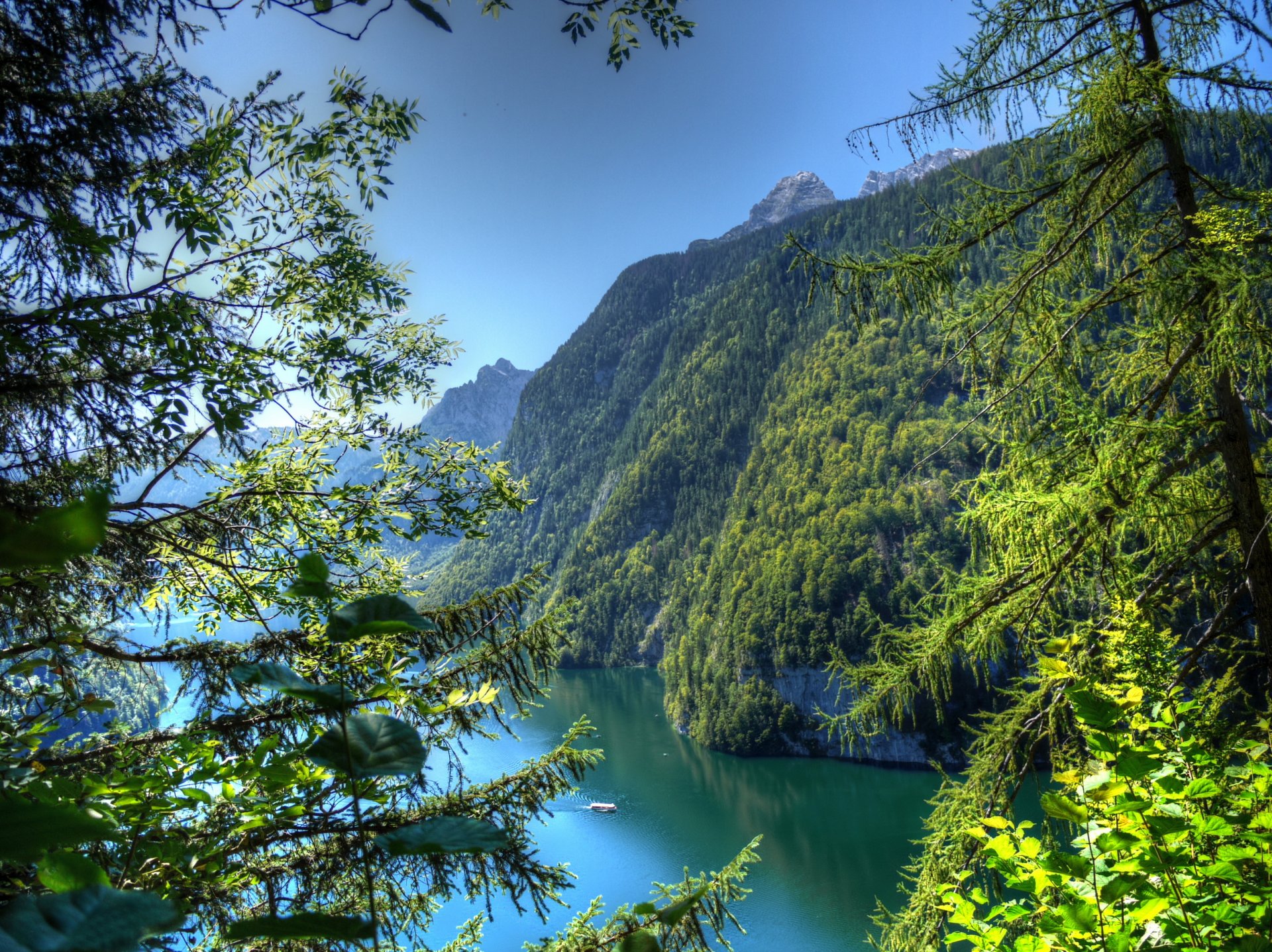 alemania baviera ramas naturaleza montañas bosque árboles hojas río