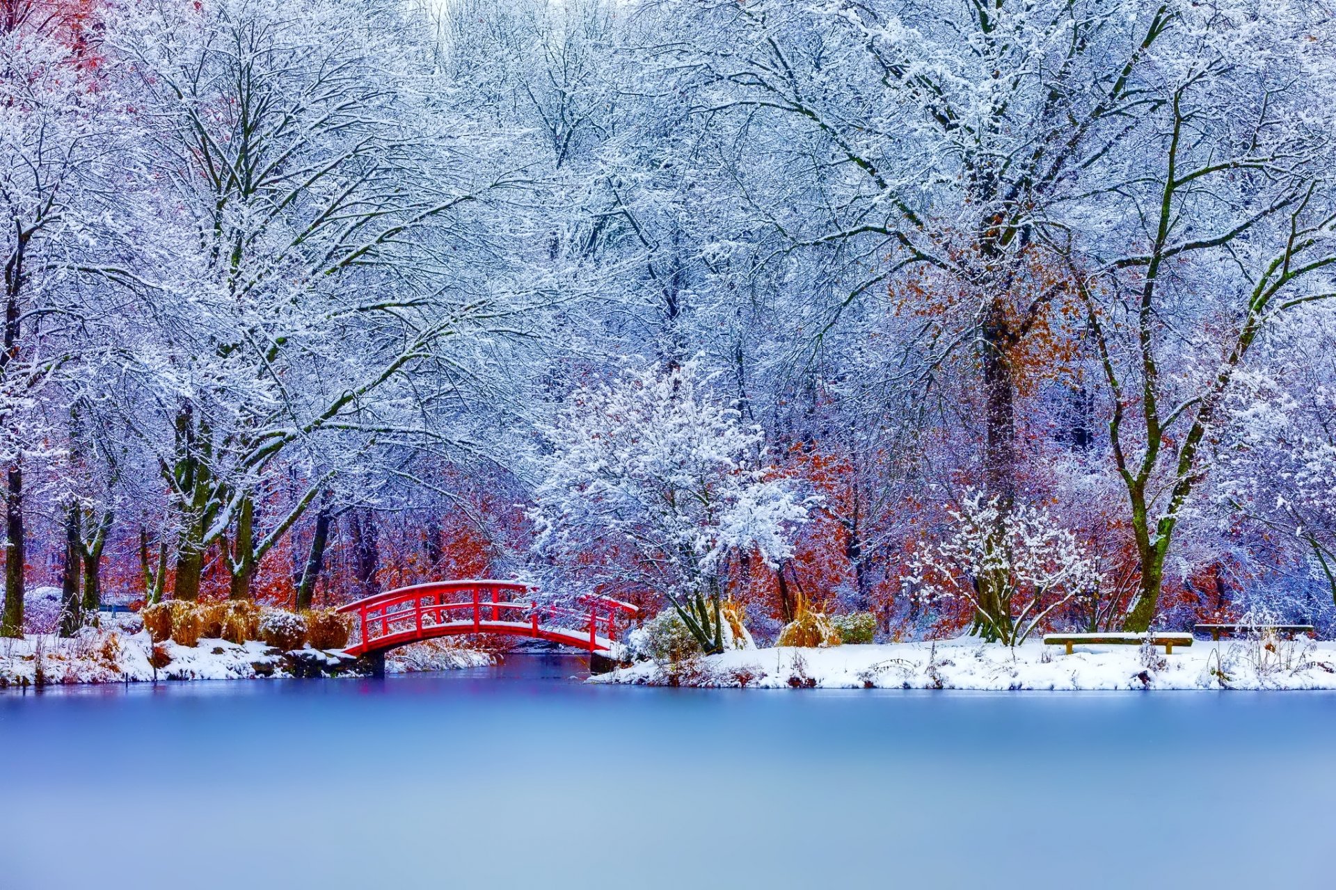 natura krajobraz zima śnieg drzewa