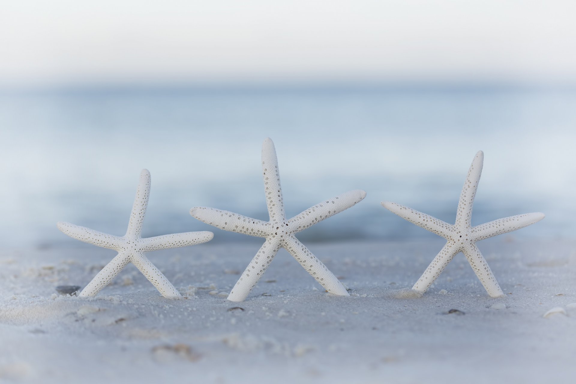 spiaggia sabbia bokeh