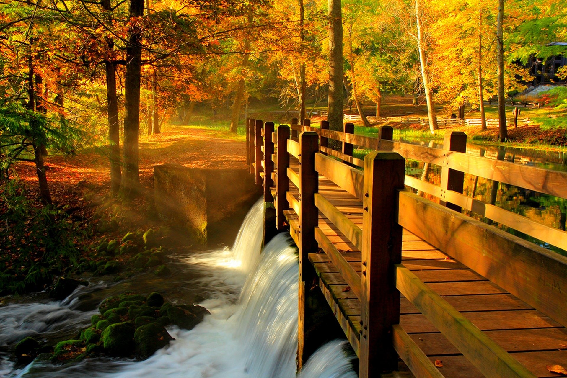 leaves park alley trees forest autumn walk hdr nature river water view fall bridge reflection view