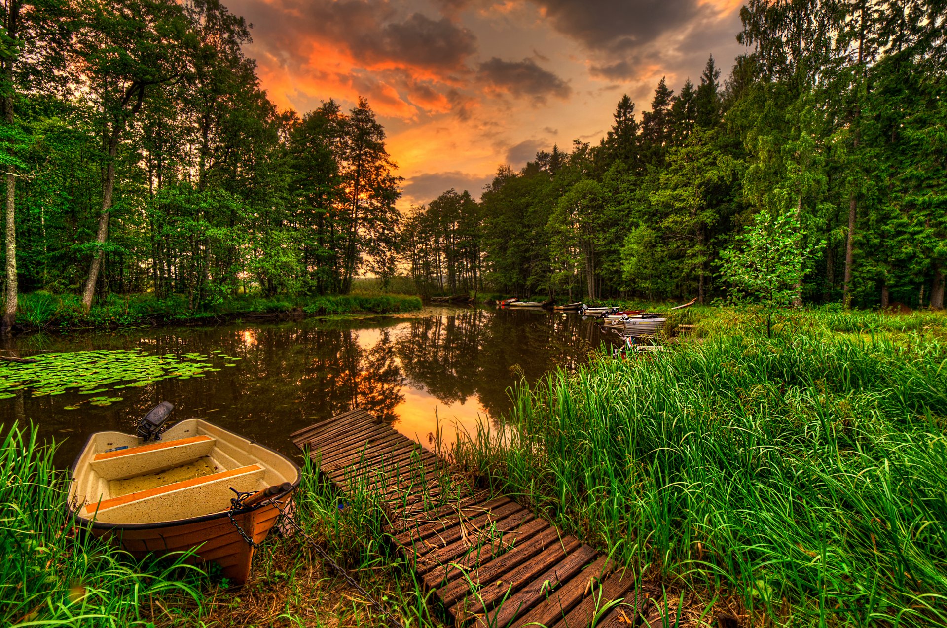 landscape view forest grass lake water reflection sky sunset nature view