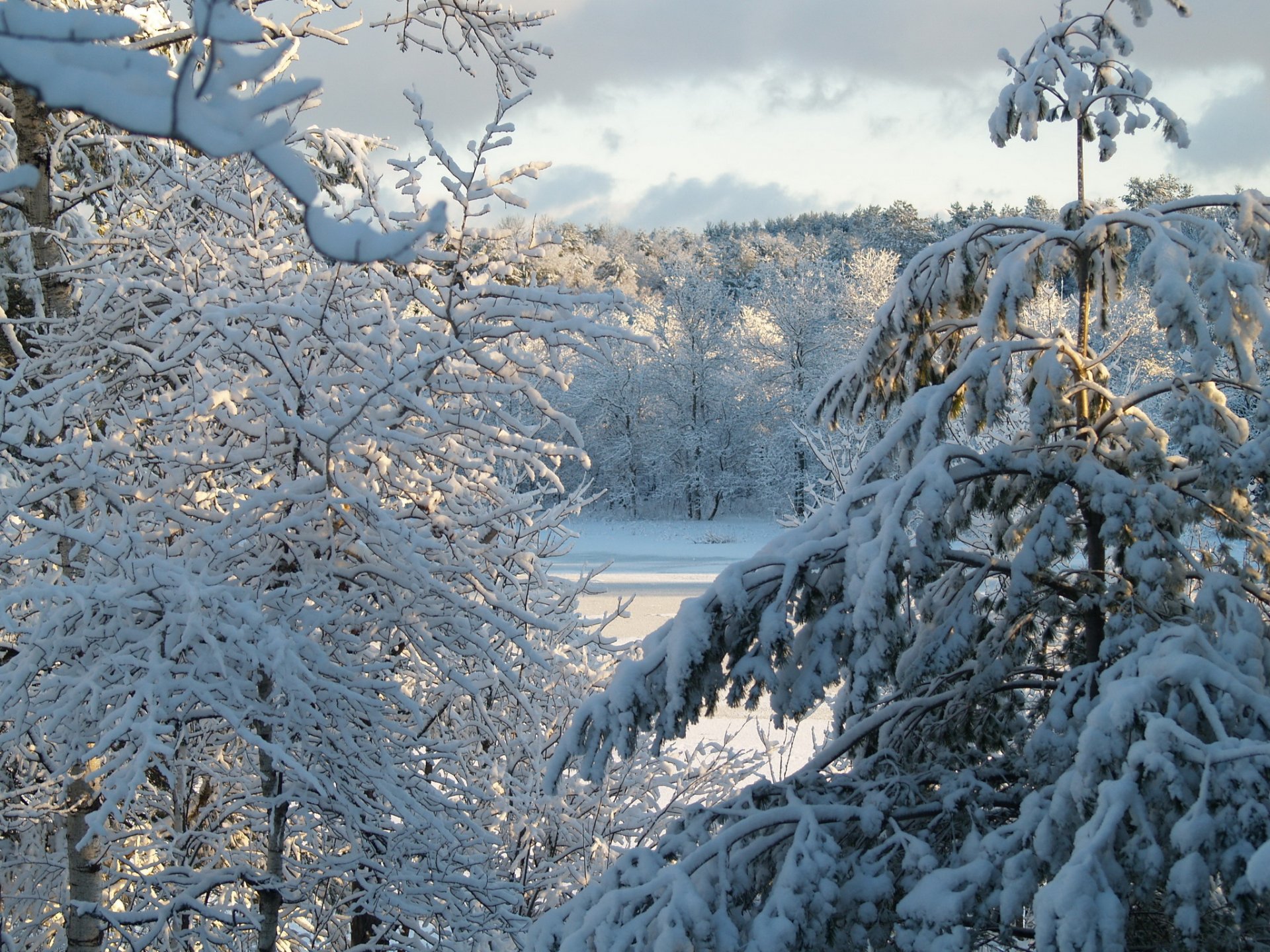 hiver neige arbres nature ciel nuages soleil