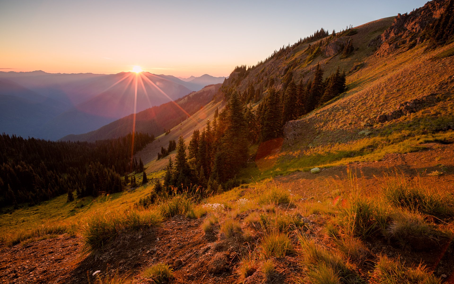 montañas pendiente árboles abetos bosque puesta de sol sol rayos