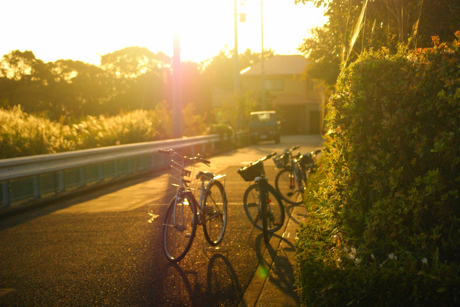 stimmung straße stadt straße fahrrad fahrräder bäume baum blätter flugblätter auto sonne hintergrund tapete widescreen vollbild widescreen widescreen