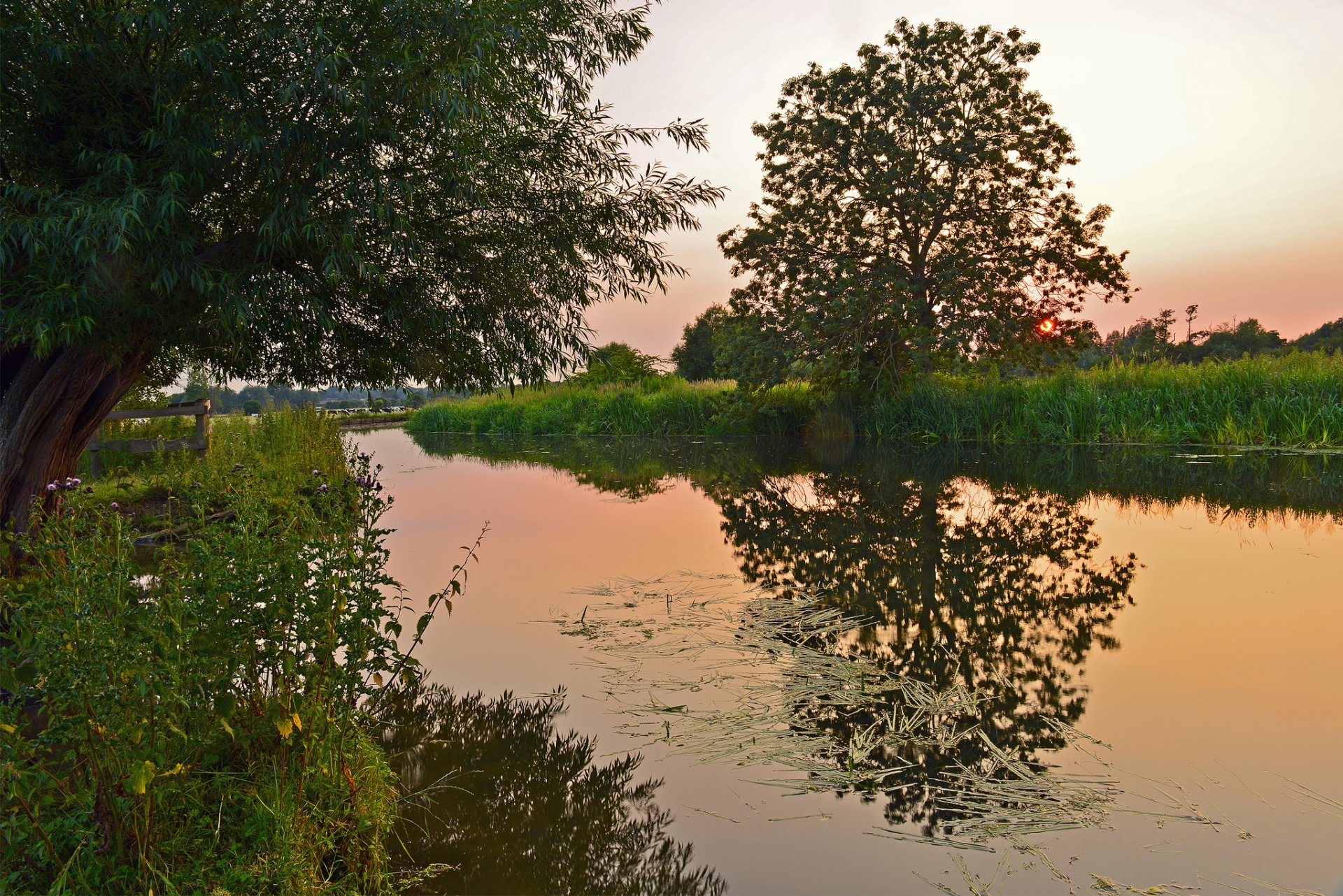 lago erba alberi sera tramonto