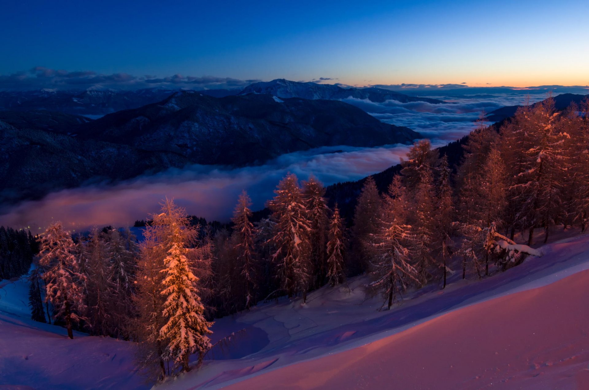 magischer wald wald berge schnee nacht