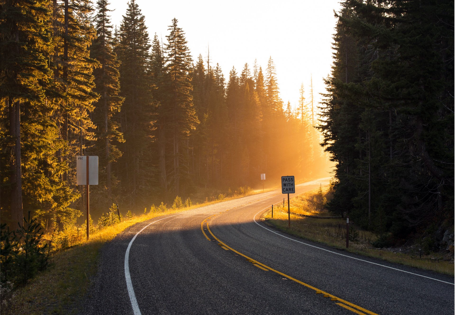 straße abbiegen sonne treffen strahlen licht wald bäume fichte markierung straßenrand weg