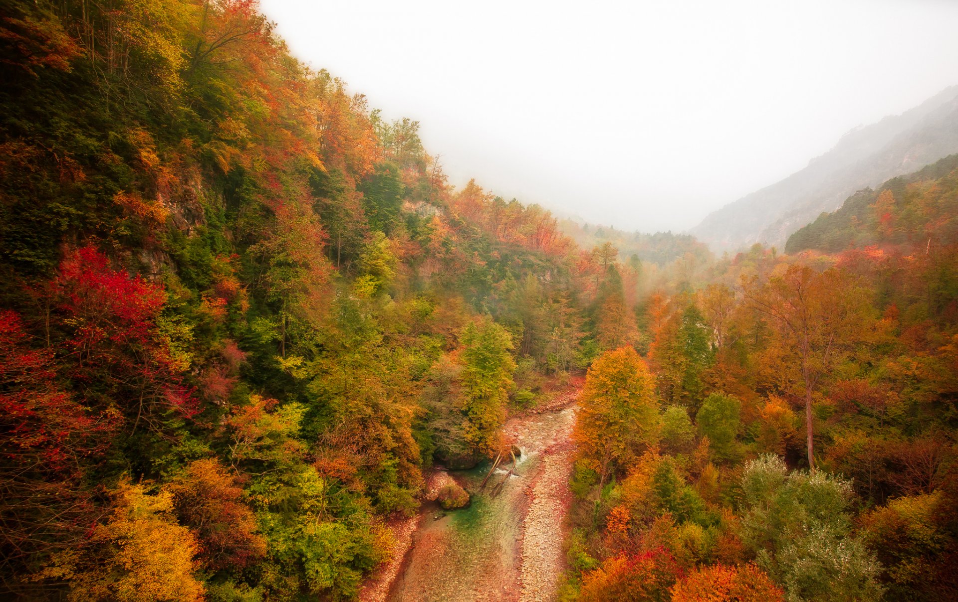 montagna foresta fiume autunno nebbia