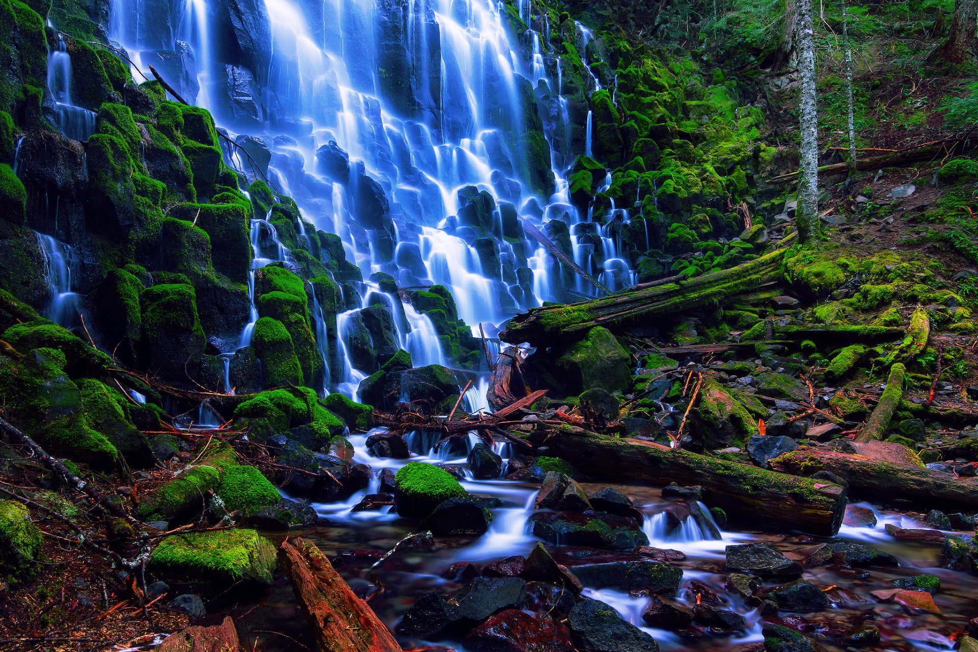 usa mount hood national forest oregon ramona falls wasserfall steine moos zweige wald bäche sommer august