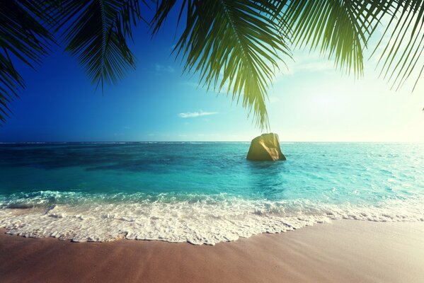 Sunny tropical sandy beach