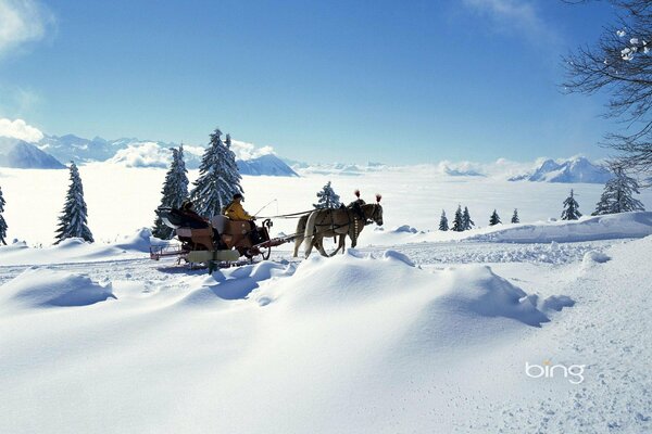 Two horses are driving a sleigh on a snow-covered road