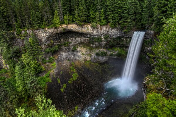 Cascata e rocce tra la foresta