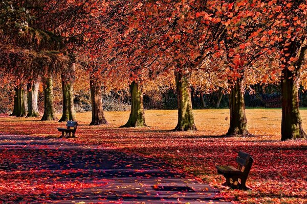 Im Herbst kamen die Arbeiten für die Hausmeister hinzu