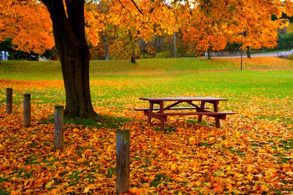 Autumn cozy corner of silence