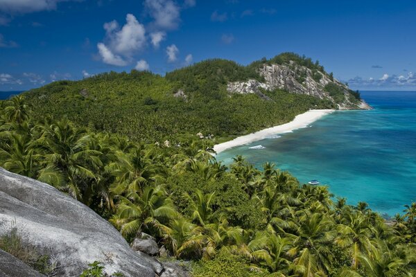 Exotic beach with palm trees morm and rocks behind