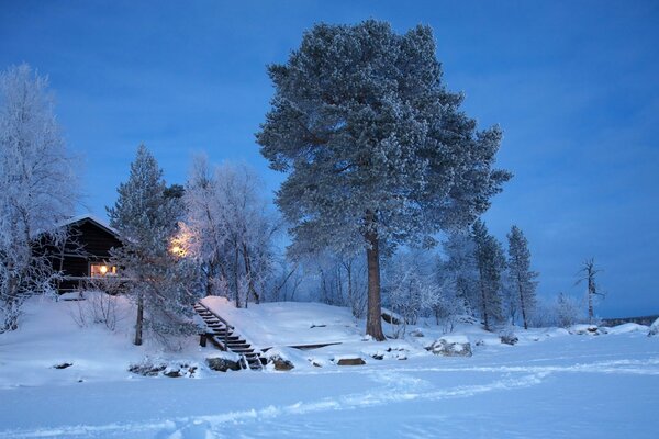 Paisaje nocturno de invierno con cabaña