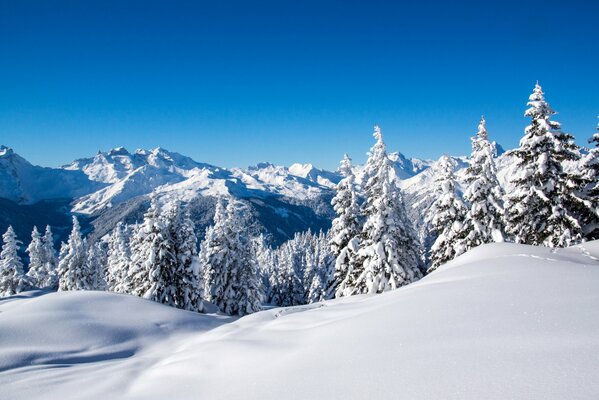 Paesaggio invernale e cielo blu