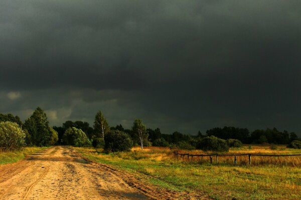 Stormy sky over a yellow field