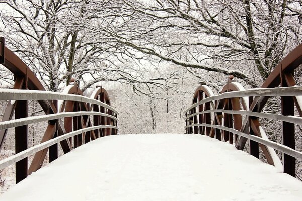 Paesaggio ponte nella neve alberi