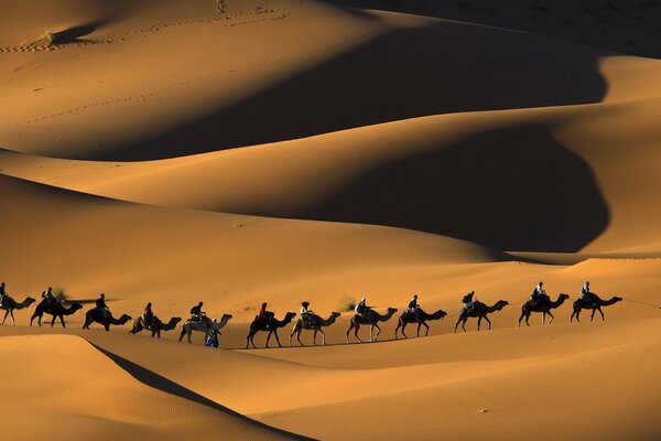 Sahara, crossing people on camels