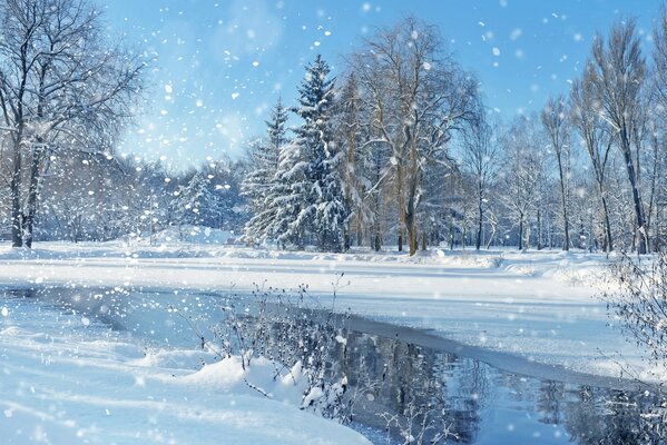 Paysage de ciel d hiver et lac