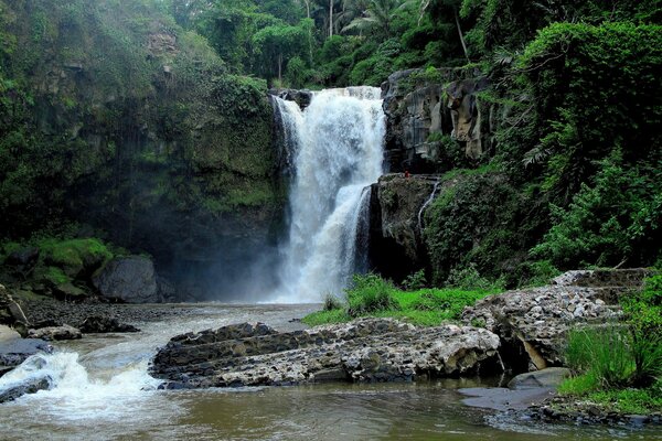 Beautiful view of the waterfall falling from the rocks in the green jungle