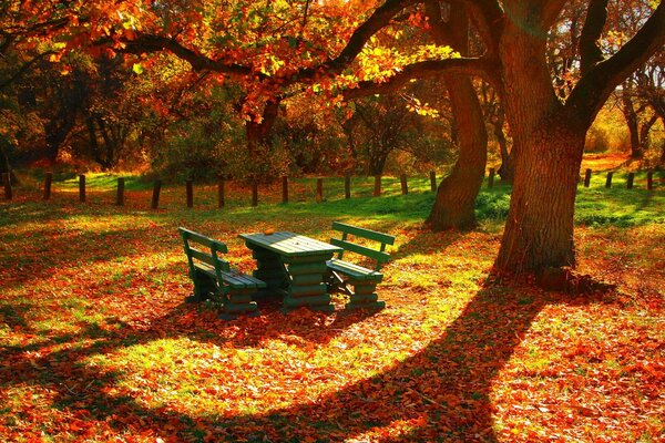 A place of rest in the autumn foliage