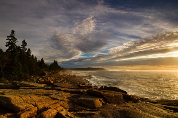 Forest stone shore with incoming waves