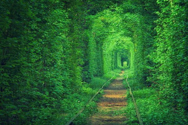 Old tram tracks in Ukraine