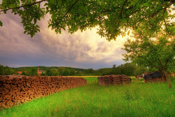 Im Sommer Brennholz auf einer grünen Wiese