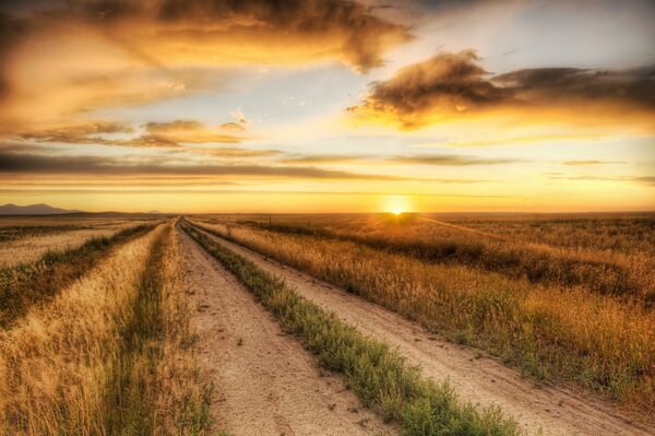 Coucher de soleil dans le champ. Plein écran. Grand écran