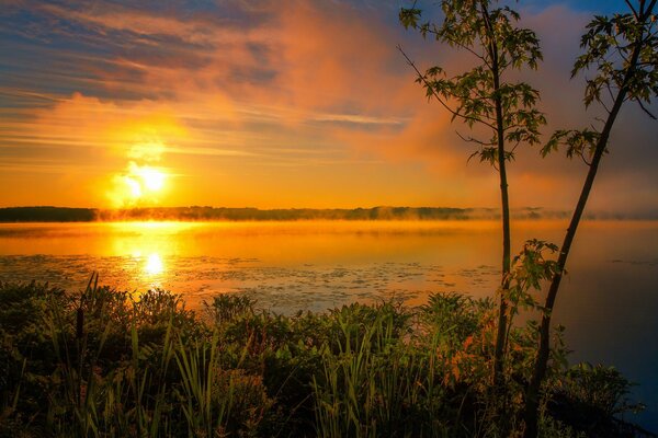 Nebbia mattutina sulla superficie del Lago