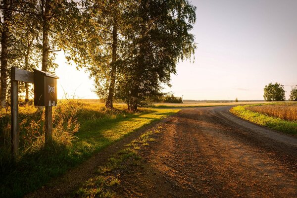 Mailbox on the edge of the road