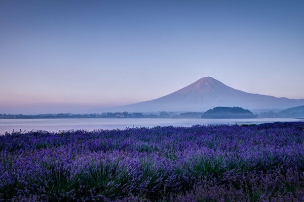 Ein japanischer See mit einem Berg, der viele schöne Blumen hat